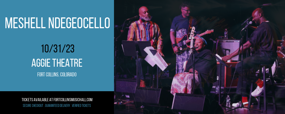 Meshell Ndegeocello [CANCELLED] at Aggie Theatre